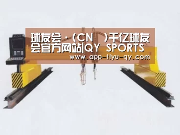 产品名称十七